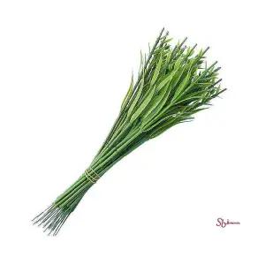 플라워꽃대 카네이션 백개입x1봉 30cm ghi103