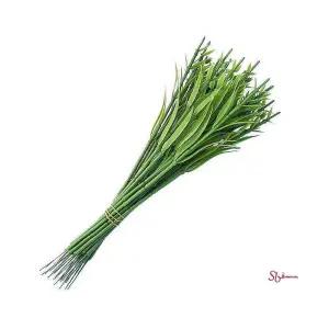 플라워꽃대 30cm 카네이션 백개입x1봉bcd049