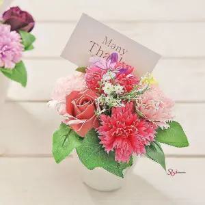 나비 비누꽃 카네이션 화분 핑크 어버이날pqr345