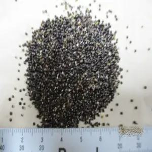 참비름나물씨앗   5000 립