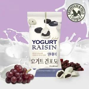 [산과들에] 원데이 요거트 건포도 100봉 건과일 간식