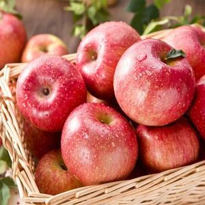 맛있는 경북 사과 가정용 중대과 10kg