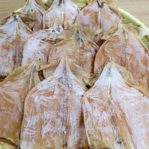 몸통오징어 마른 마른오징어 10마리 오징어 건오징어 몸통순살오징어