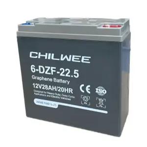 6-DZF-22 칠위 산업용 배터리 전동스쿠터 오토바이 테마파크 전동차