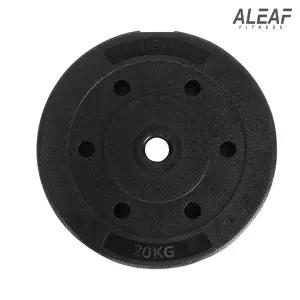 [아리프] 플렉스 원판 20kg 1개입 덤벨 홈짐 홈트