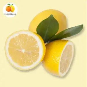 [프라임농장] 실속 레몬 15kg 벌크