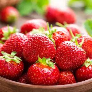 당도선별 유명산지 논산 설향딸기 350g 내외(상/15-20구) GAP 인증 딸기