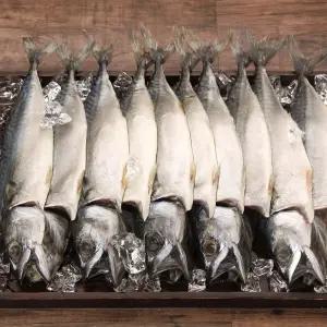 국내산 자반 고등어 12마리(6손) / 10마리(5손) 中 大 특大