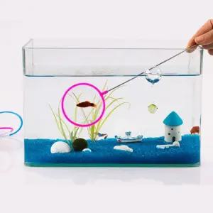 어항 구피키우기 물고기 물고기채집 새우 구피 뜰채 부유물 청소 치어