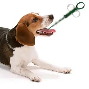 펫주사기 실리콘약주사기 펫필 동물약주입기 알약주사기 애견 쿨 매트 방석 대형견집 노견영양제 펫도어 한복