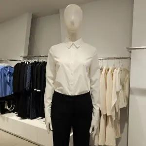 [대구백화점] [미센스]기본테일러드스판블라우스(MB59BLP111Z)