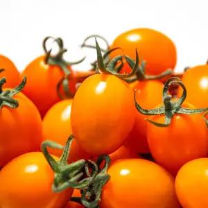 (GAP인증) 고당도 황금대추방울토마토 1kg (1~3번혼합과)