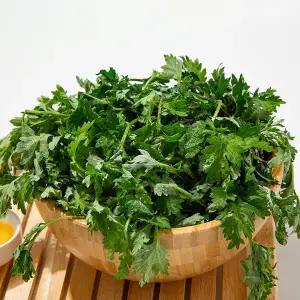 [더조은푸드][랜쇼페 추가 12% 쿠폰] [더조은] 여수 거문도 자연담은 해풍 쑥 500g