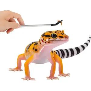 피딩 핀셋 도마뱀 먹이 급여 핀셋 곤충 집게 귀뚜라미 밀웜 파충류 밥그릇 용품