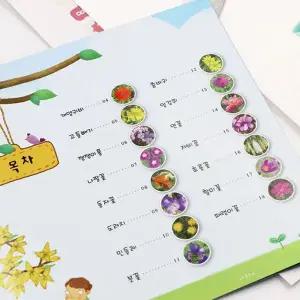 식물도감 ROX325J4 책 세관 현상 과학 실험 키트