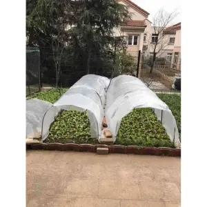 비닐하우스 프레임 장미넝쿨 지지대 식물 가든아치