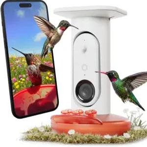 카메라가 장착된 버드버디 스마트 비태양광 프로 벌새 모이통 - AI 조류 식별 2K 비디오 5MP 사진 야외