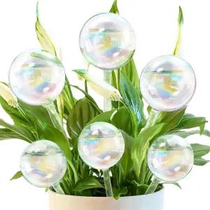 Pynqdfu 6Pcs 식물 워터링 글로브 방향성 무지개 유리 자가 화분 삽입물 실내 실외 행잉 위한 투명 전구 홈