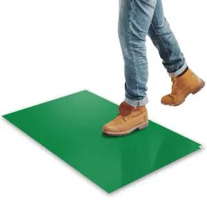 병원 실험실 건설 애완동물을 위한 SAETH 끈적끈적한 매트 24 x36 그린 30매 4매