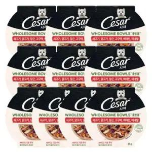 애견건식사료 강아지 습식 사료 홀썸볼 소고기 고구마 화식 85g 10P