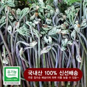 유기농 생고사리 나물 4kg 국내산 무농약 특상품 취송농원