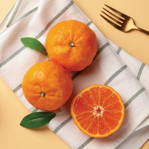 [탐라왕] 제주 카라향 2kg 4kg #신품종 #제주봄귤 #귤로향