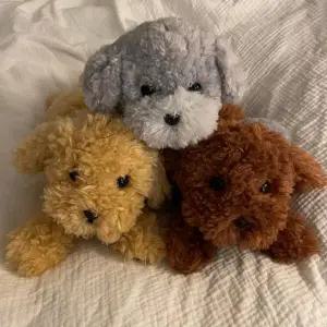 아트박스/콤비니 [선레몬]무릎인형 토이푸들 S 푸들인형 애착인형