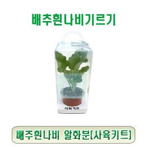 배추흰나비알화분만(사육키트)