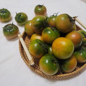 대저토마토 짭짤이 토마토 못난이 완숙 찰 쥬스용 주스용 2.5kg 5kg