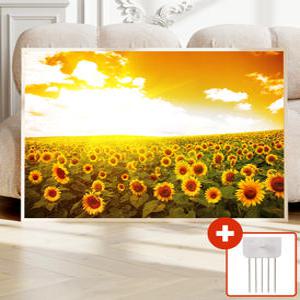 돈들어오는그림 해바라기 그림 액자 12종 캔버스 액자 현관 거실 인테리어 개업 집들이선물