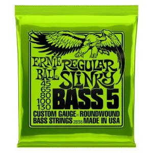 [스쿨뮤직]Ernieball Nickel Regular Slinky 5현