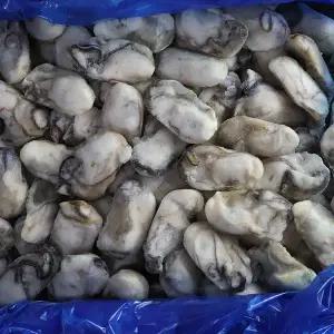 통영 냉동 굴 10kg 대(M) 최상급 급냉