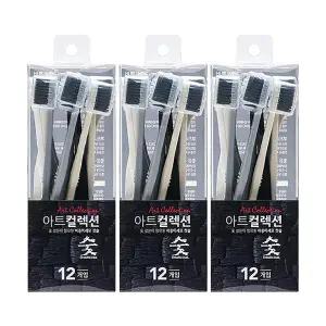 바른생활 아트컬렉션 숯 칫솔 초극세모 12입, 3개