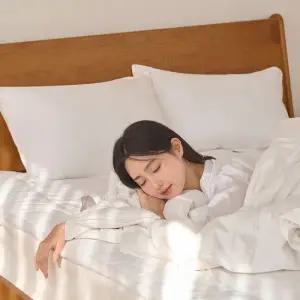 폴란드 호텔식 구스 베개솜 모음 50x70