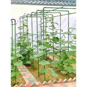 수박 지지대 그물망 포도 키우기 모종지지대 네트 대형 16 150 4x5x8 특대