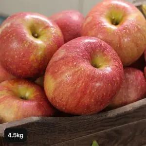 경북 참좋은 못난이 사과 4.5kg