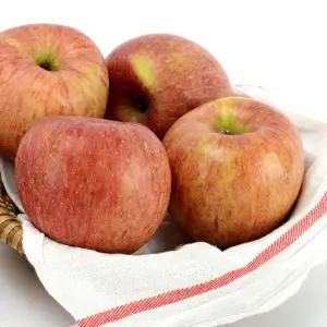 경북 부사 사과 가정용 5kg 랜덤(흠조금/품종랜덤)