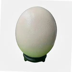 타조알 인테리어 선물 껍데기 수공예 조각품