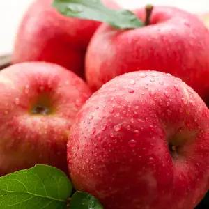 가정용 부사사과 2kg 중소과 (10-12과)