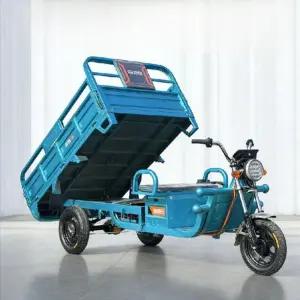삼륜 전기 오토바이 삼발이 배달용 운반차 배달 어르신 전동차 농업용 화물