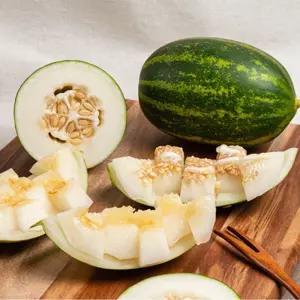 고당도 파파야 메론 3kg 5kg 가정용 산지직송 경북 성주 개구리참외