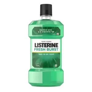 동아제약 후레쉬 버스트 리스테린 750ml
