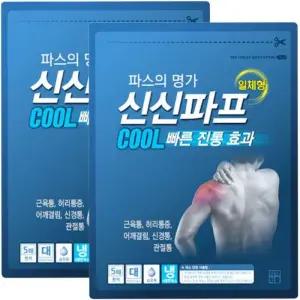 신신제약 신신파스 쿨 5매 X 2