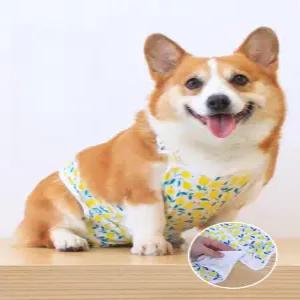 강아지 위생팬티 소형견 수컷 배변팬티 재사용 매너벨트