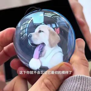 크리스탈 메모리얼볼 추억 념일 선물 추억보관 크리스탈볼