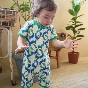 블루버드 니라롬퍼