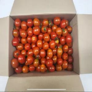 국산 대추방울토마토 2kg