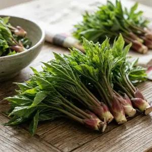 [4월 20일 전후 수확] 고품질 엄나무순 개두릅 1kg