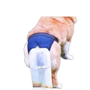 강아지 기저귀 산책 노견 대변 일회용 소형 반려견 외출