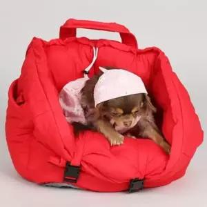 펫시트 비비드 강아지 이동가방 카시트 레드 애견 외출 1P